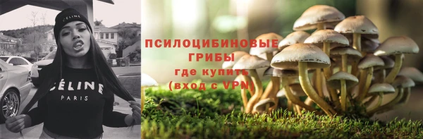 мескалин Елабуга