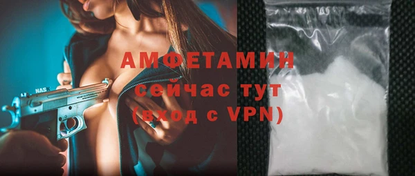 мет Ельня