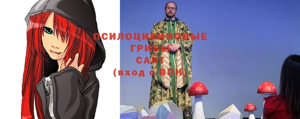 мескалин Елабуга
