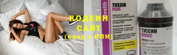 мет Ельня