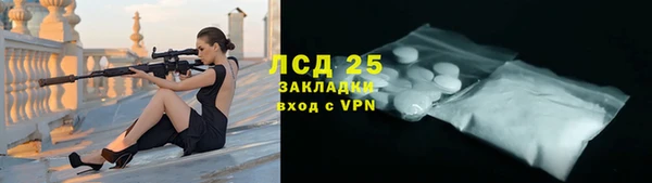 мет Ельня