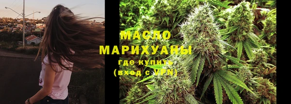 мет Ельня