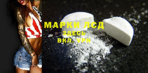 мет Ельня