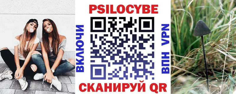 Псилоцибиновые грибы мухоморы shop Telegram Фатеж где продают наркотики