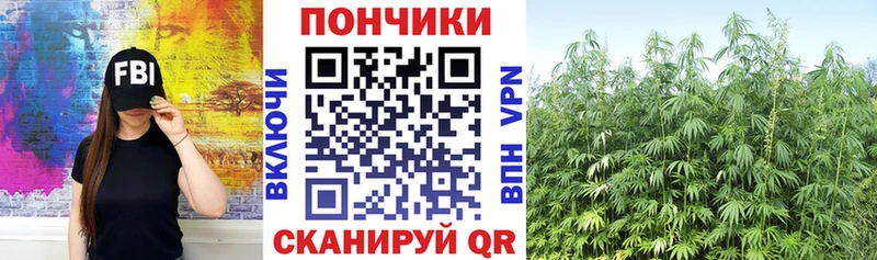 купить закладку  Фатеж  omg как зайти  Шишки марихуана Amnesia 